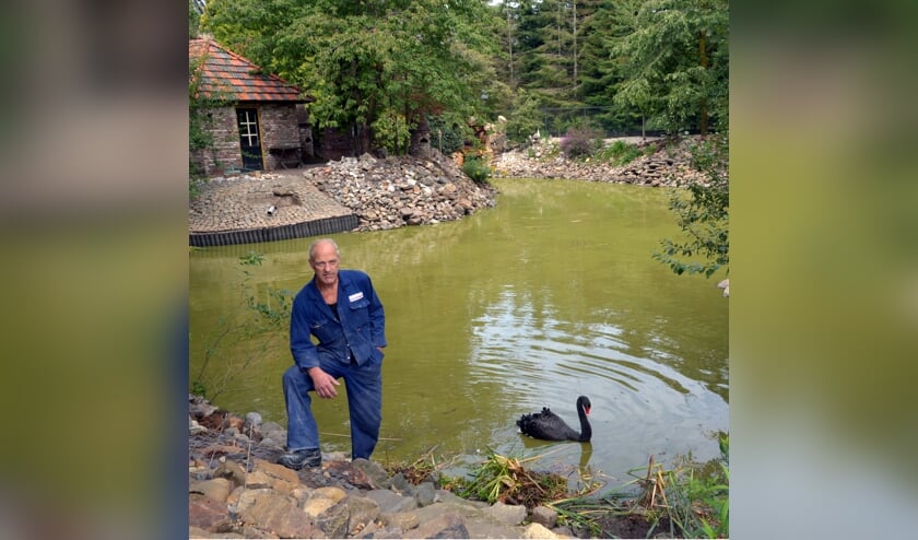 In deze vijver zitten onder meer kooikarpers, andere vissen en schildpadden. (foto: Henk Lunenburg)