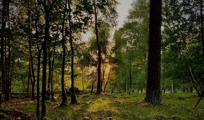 <p>Foto ter illustratie: Marleen van Meurs</p>