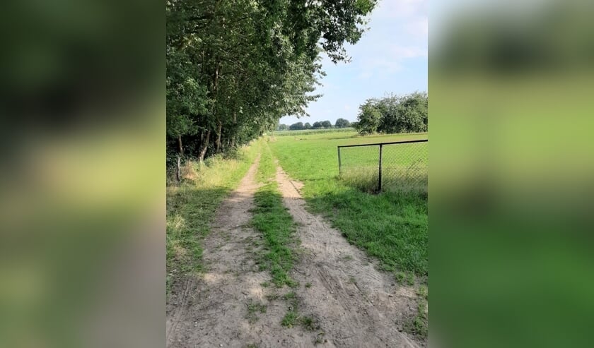 Een aantal bewoners uit Mook zijn een burgerinitiatief gestart dat zich hard wil maken voor meer speel- en beweegvoorzieningen voor kinderen in het dorp.