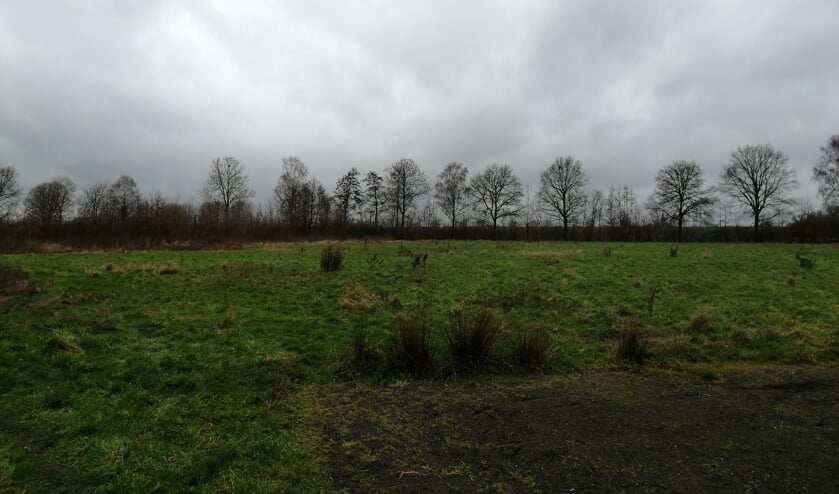 <p>Eén van de leegstaande voetbalvelden in Macharen. Komen hier in de toekomst woningen?</p>