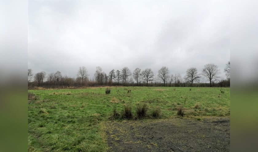 Eén van de leegstaande voetbalvelden in Macharen.
