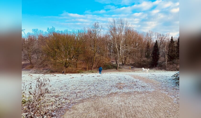 <p>Het Geerbos in Veghel.</p>