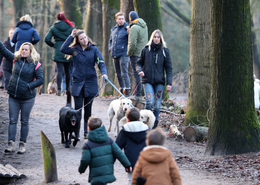 <p>Drukte in het bos. (Foto: Hans van der Poel)</p>