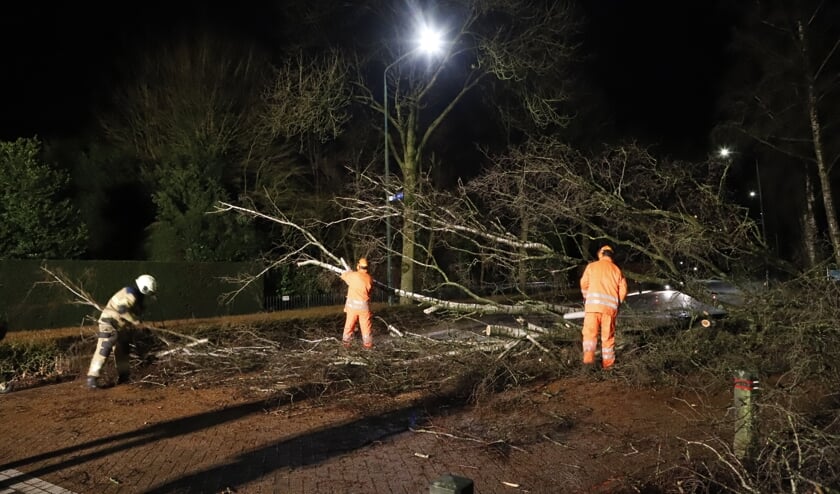 De brandweer heeft de bomen uiteindelijk kort gezaagd.