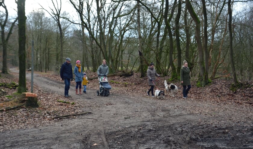 <p>Wandelaars in het gebied bij Slabroek. (foto: Henk Lunenburg)</p>