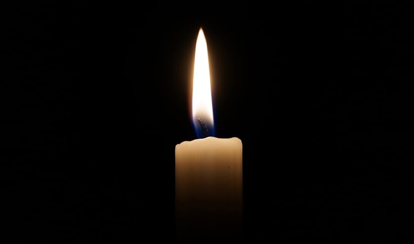 <p>In Memoriam: Hans Bongartz</p>