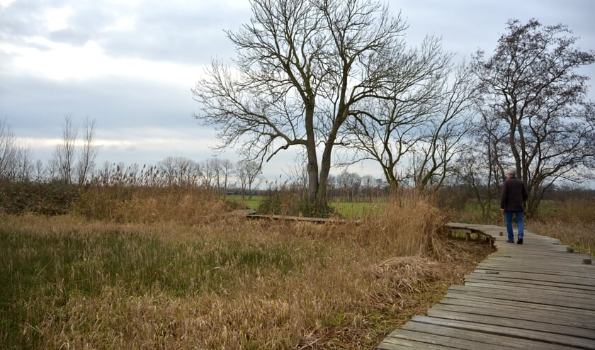 <p>De luchtkwaliteit is verbeterd. (foto: Henk Lunenburg)</p>
