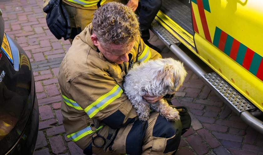 Brand in woning Karel Doormanstraat. (Foto: Gabor Heeres, Foto Mallo)