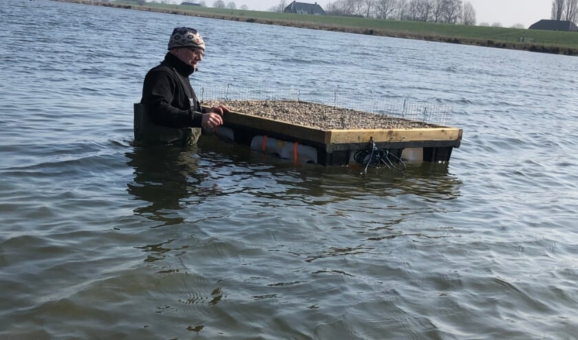 <p>De visdief in de Hemelrijkse Waard. (Foto: Natuurmonumenten)</p>
