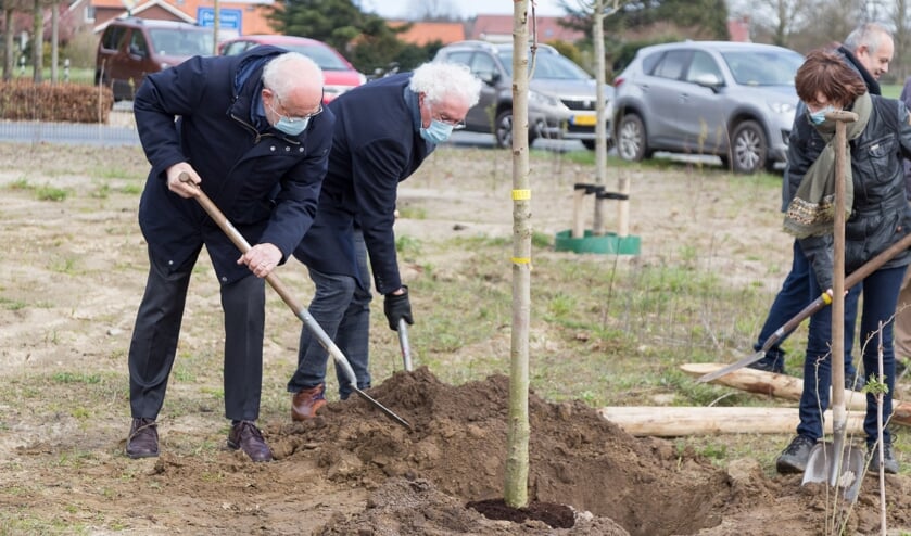 De nazaat Anne Frankboom is dinsdagmiddag geplant in Overloon.