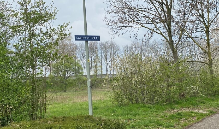 <p>Het terrein aan de Kalboerstraat wordt het domein voor initiatiefgroep Kalboerhof. </p>