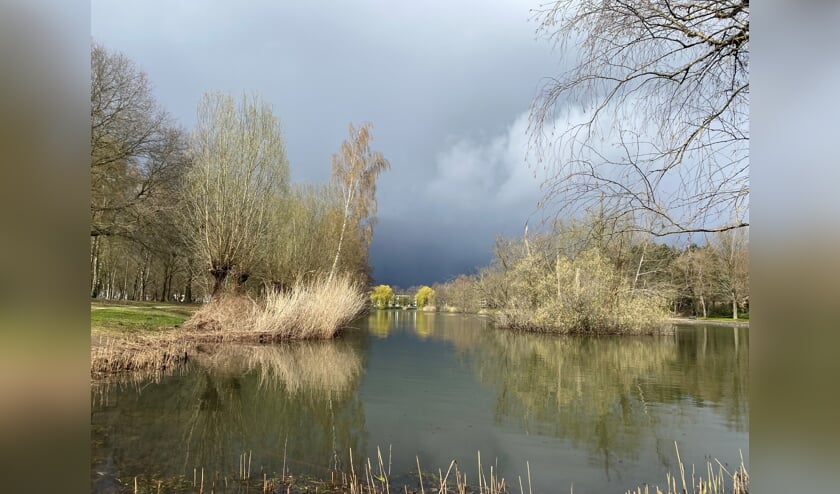 <p>Foto van de week van Manjusha Teubel-Bastiaans</p>