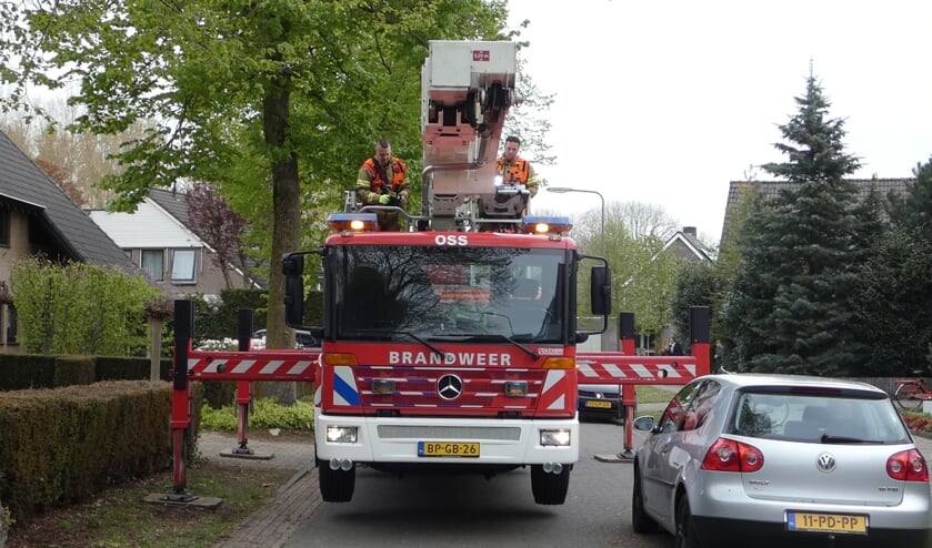 Brandweer haalt poes van het dak van woning aan Woldreef. (Foto: Thomas)