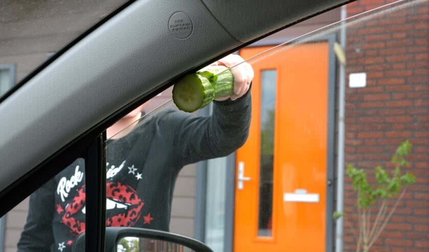 <p>Henk deed een test met een komkommer. (foto: Henk Lunenburg)</p>