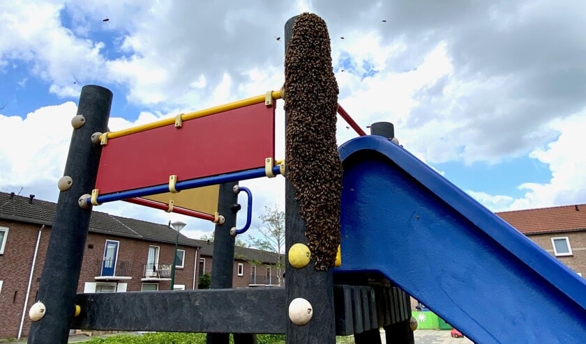 De wespen hebben zich massaal verzameld bij de glijbaan.