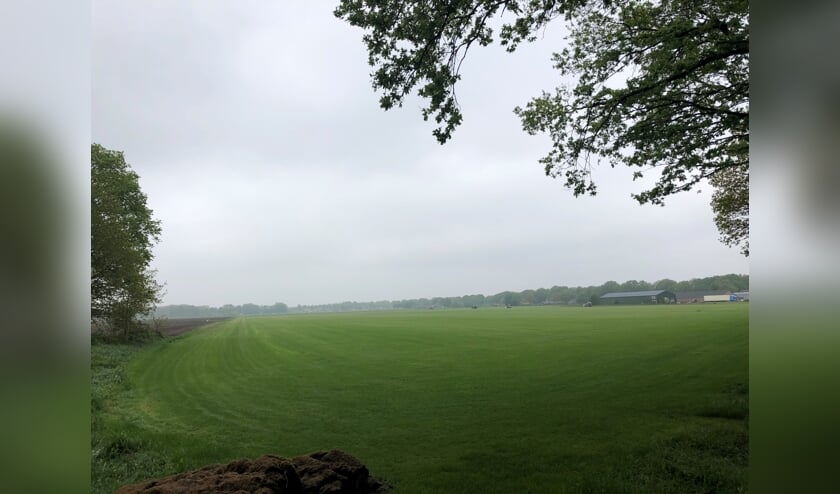 <p>Aan de Lactariaweg in Stevensbeek komt toch geen zonnepark.</p>