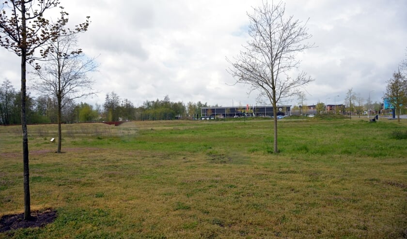 <p>Het Sesterpark, waar de huizen komen te staan. (foto: Henk Lunenburg)</p>