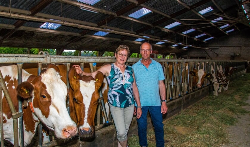 <p>Ad en Petra van de Meerakker samen met hun koeien.</p>