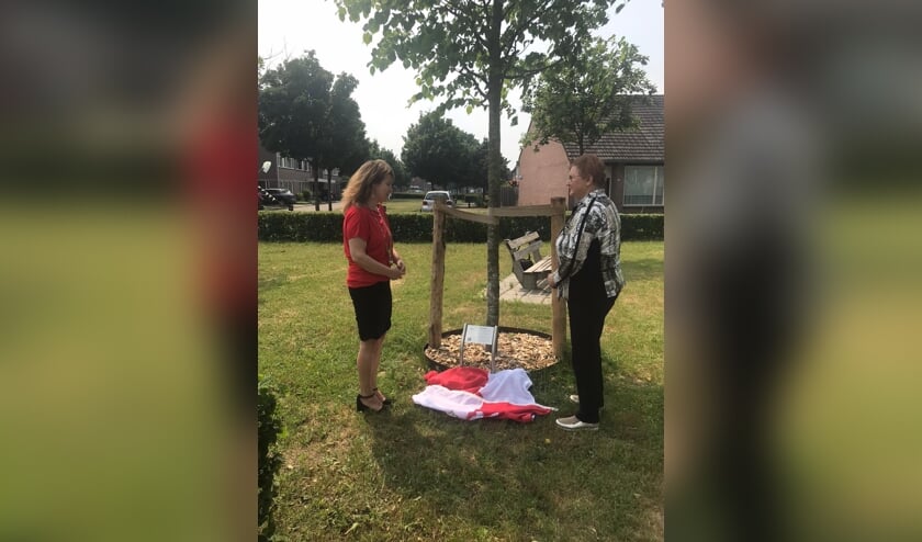 <p>Burgemeester plant herdenkingsboom in Heesch. (Foto: Marieke Moorman, Twitter)</p>