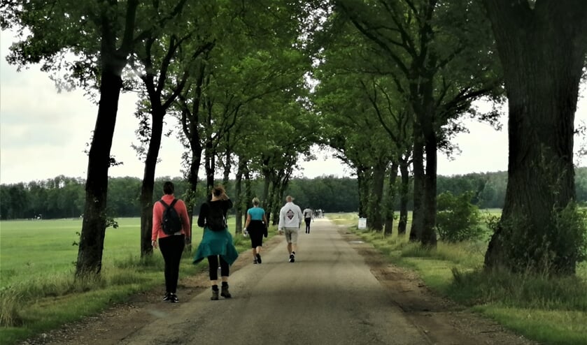 Wandelaars in de polder van Macharen.