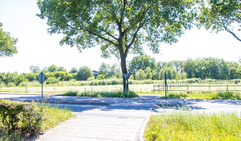 <p>De beruchte oversteekplaats.</p>