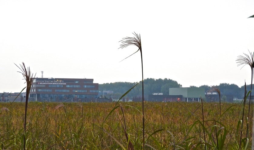 Op dit braakliggend terrein verrijst straks een compleet nieuwe woonwijk.