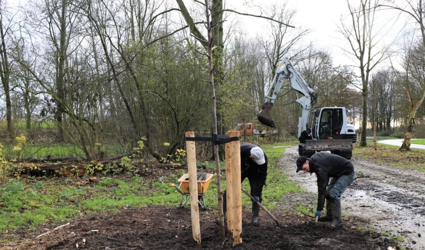<p>Werknemers van de Ronde zijn hard aan het werk in het natuurgebied.</p>