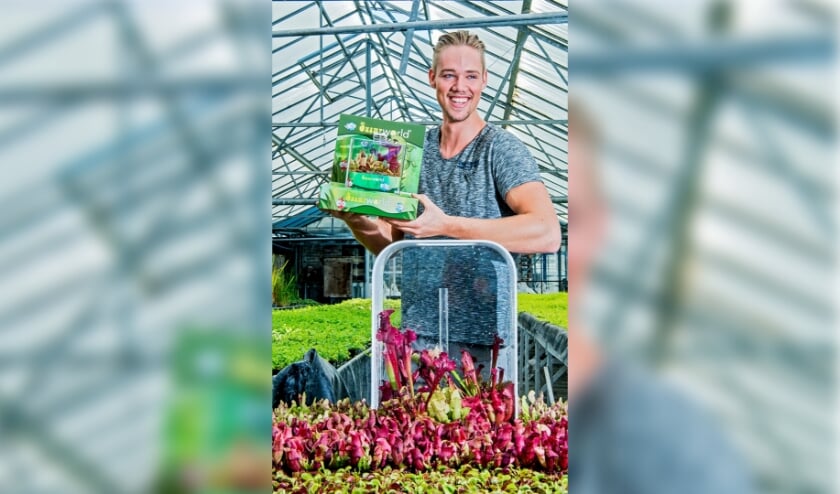 <p>Chris van der Velde verkoopt terrariums met vleesetende planten als de oplossing tegen muggen. Foto: Frank de Roo </p>