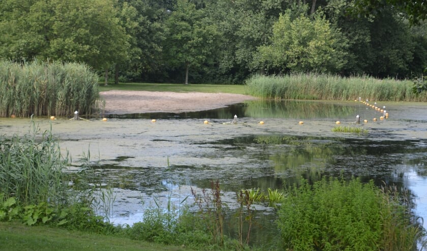 Zwemmen in het water van Wevershoek wordt ontraden