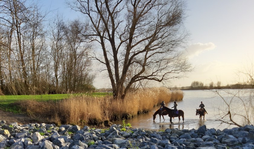 (foto: B. van den Heuvel)