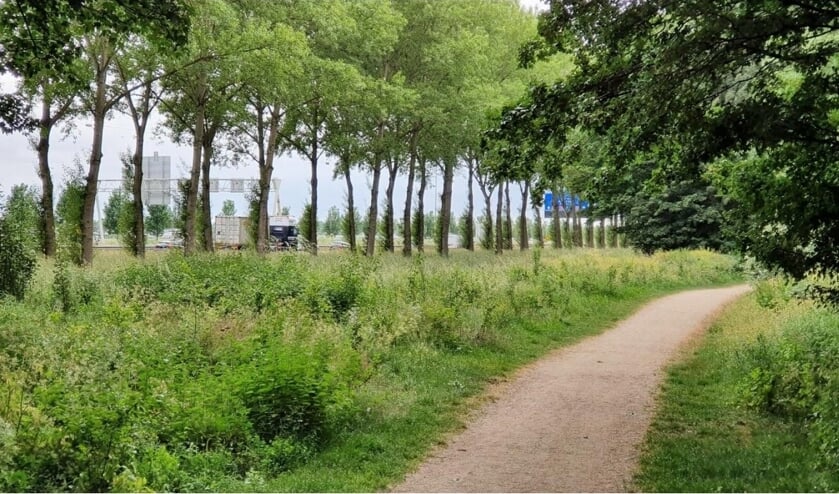 <p>Het geluid van vrachtwagens is mogelijk bij Ridderkerk sterker dan berekend</p>