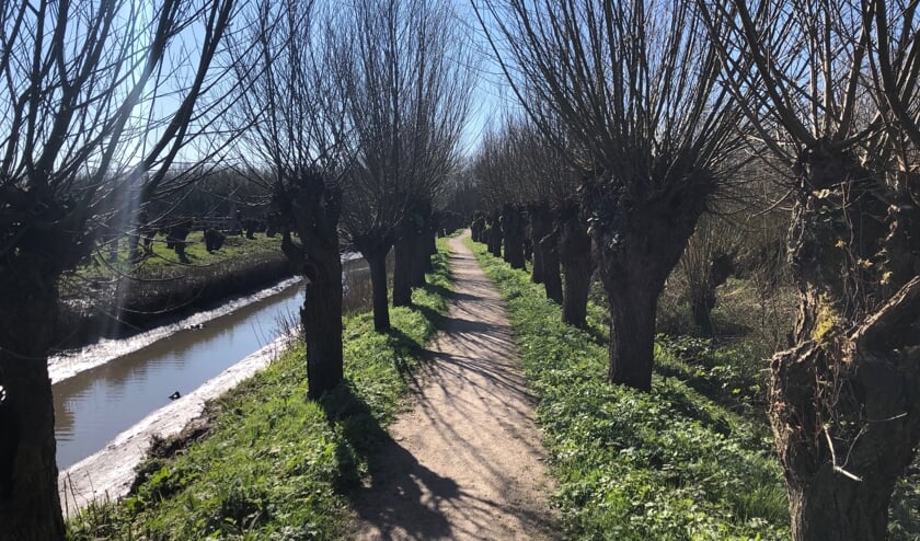 De Rhoonse Grienden.