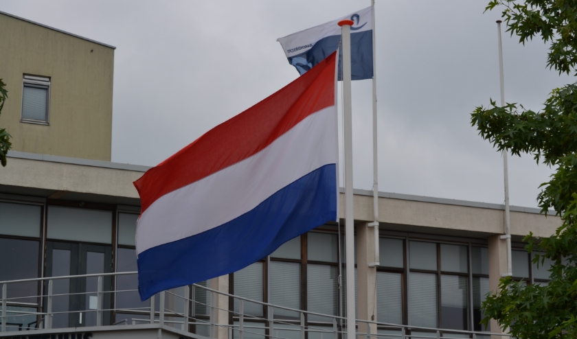 Vlag In Top Voor Veteranendag