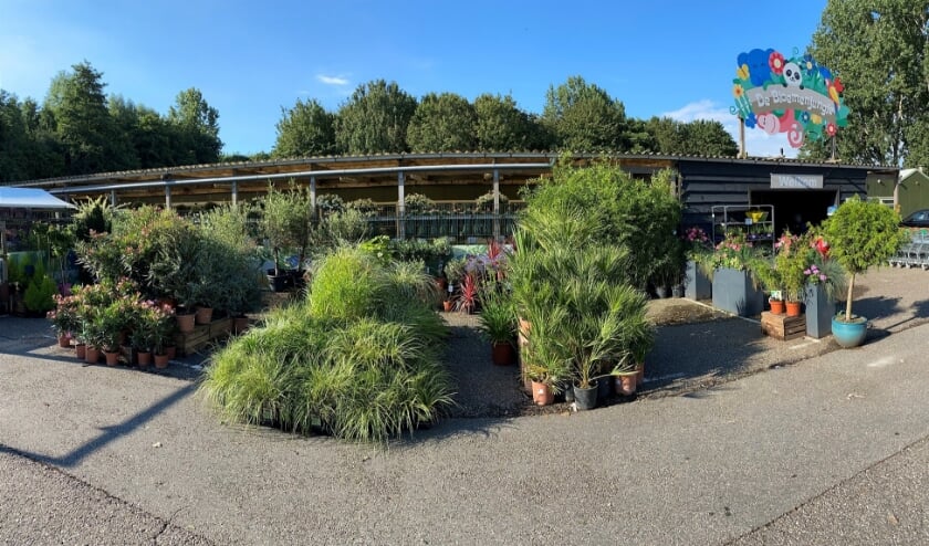 Bij De Bloemenjungle kan men acht weken lang 'over de grens'