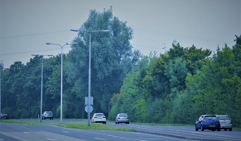 Tussen de Randweg en A38 wordt veel lawaai ervaren