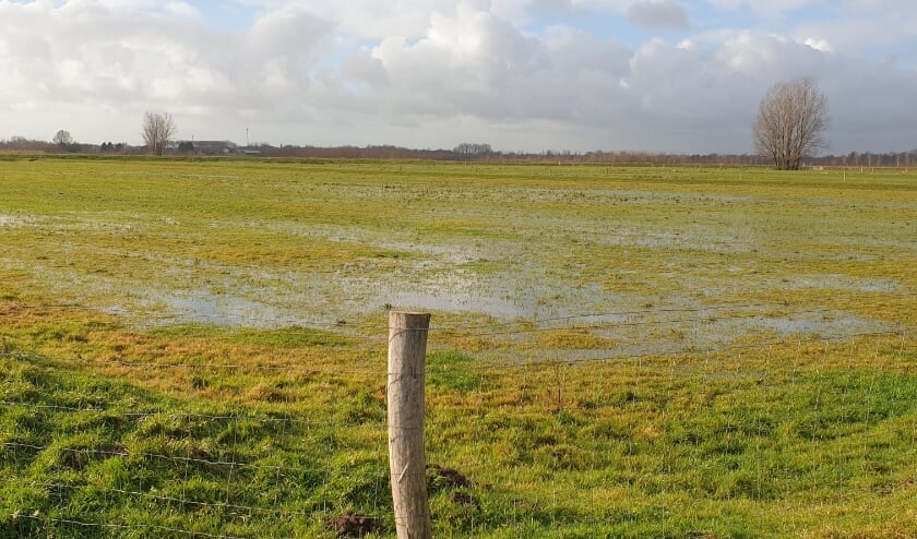 <p>IJsclub Rijsoord & Omstreken besloot eind vorig jaar al de landijsbaan niet onder water te zetten</p>