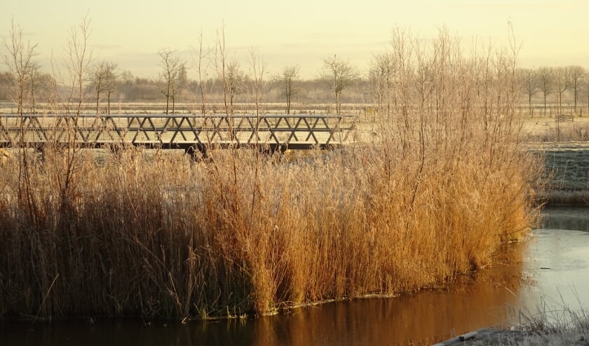 <p>(foto: Engelien van Ewijk-Laurens)</p>