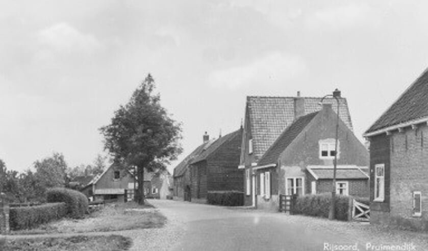 <p>Op een later tijdstip in de ontwikkeling van het grondgebruik ging men die hogere plaatsen onderling verbinden om gevrijwaard te zijn tegen de herhaaldelijk optredende overlast van het buitenwater. </p>