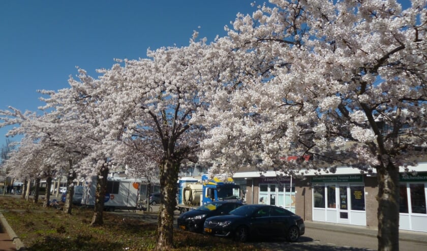 <p>Muziekplein.</p>
