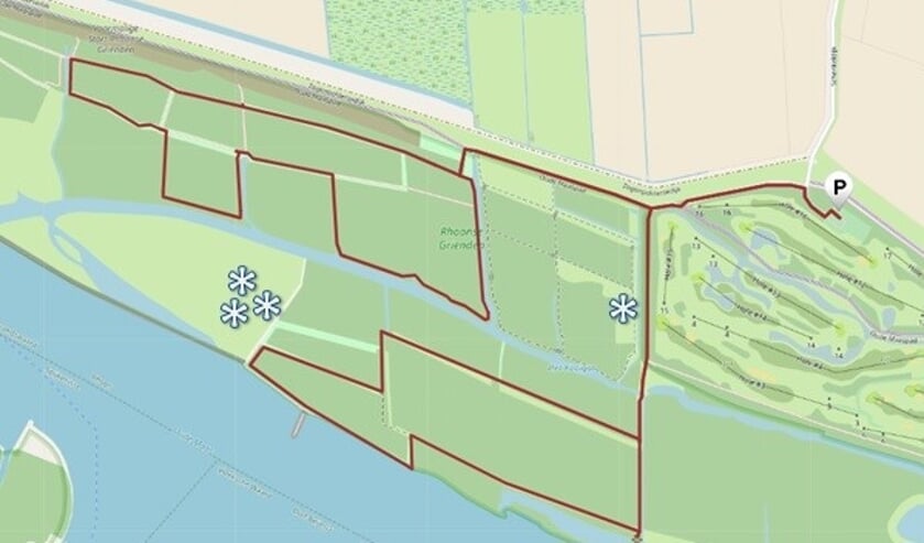 <p>Sterretjes geven belangrijke groeiplaatsen van zomerklokjes aan.</p>