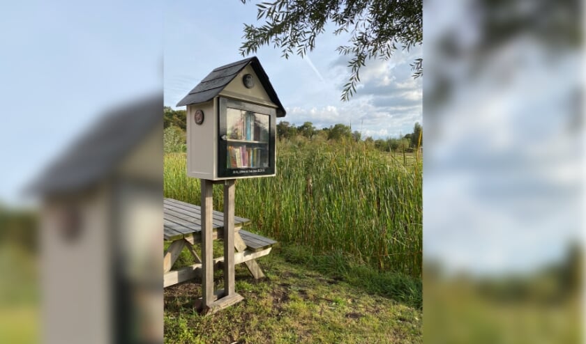 <p>Inmiddels heeft deze minibieb ruim 400 diverse boeken mogen ontvangen, die wisselend een plekje krijgen. </p>