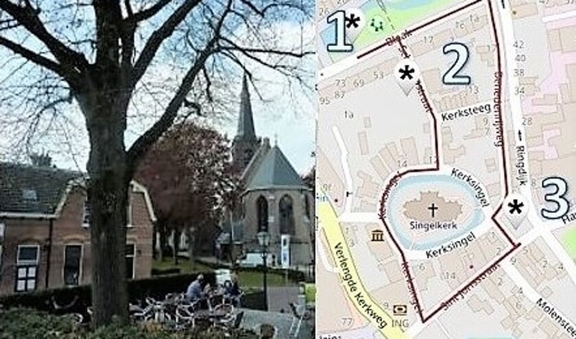 <p>De oudste Koninklijke linde (nr. 3) in het centrum van Ridderkerk. </p>