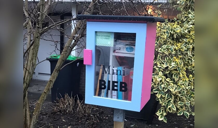 <p>De minibieb aan de Wilhelminastraat.</p>