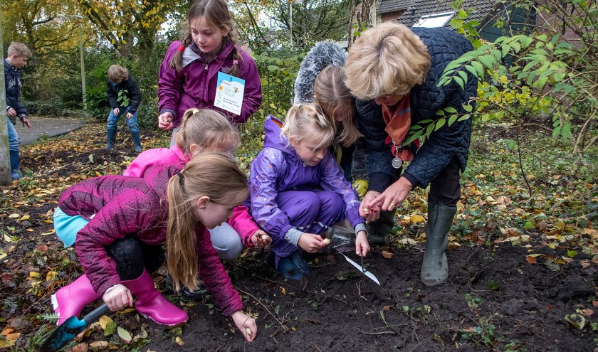 Burgemeester Driessen assisteert kinderen van basisschool Elckerlyc bij het bollen planten. | Foto: J.P. Kranenburg