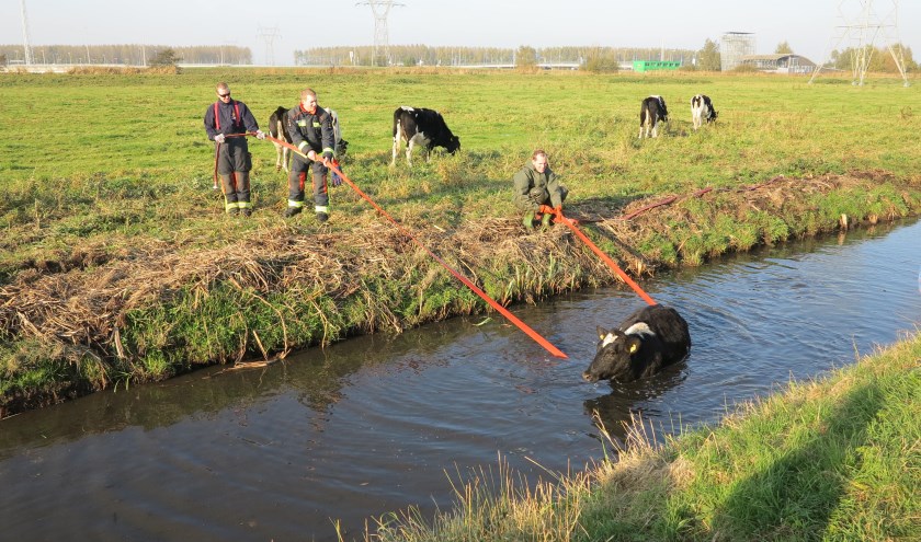 | Foto: Gerrit Konings