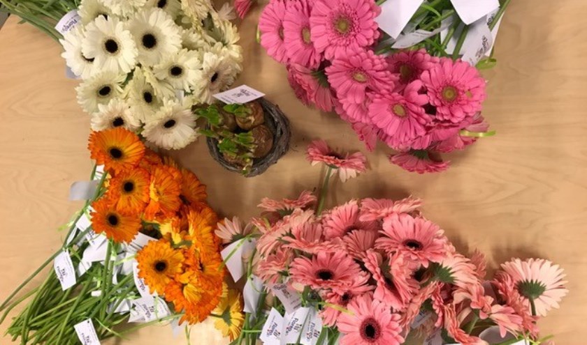 Iedere medewerker van Floreokids kreeg vanochtend een bloem. | Foto: PR