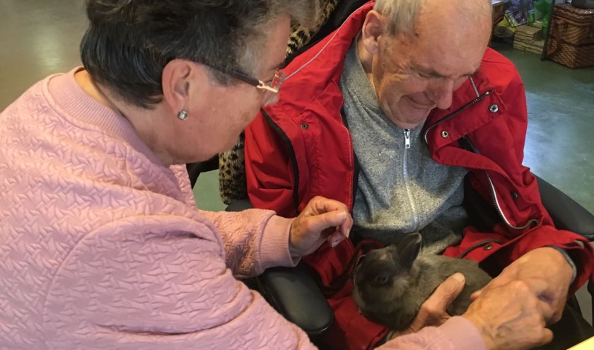 “Ik heb liever een konijn op schoot, dan een konijn op mijn bord!”
