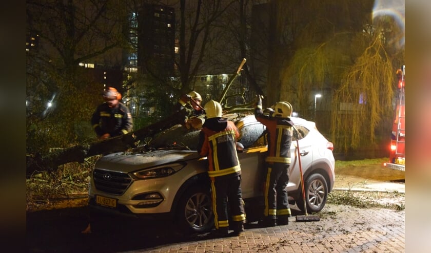 De brandweer zaagde de boom in stukken. | Foto: AS Media