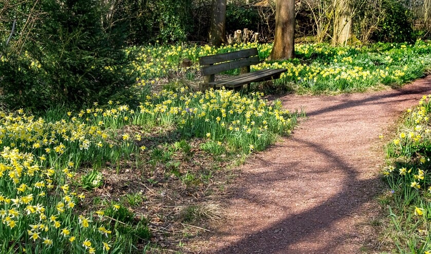 De meeste paden in de Leiderdorpse heemtuin zijn te smal om anderhalve meter afstand te houden | Foto: J.P. Kranenburg