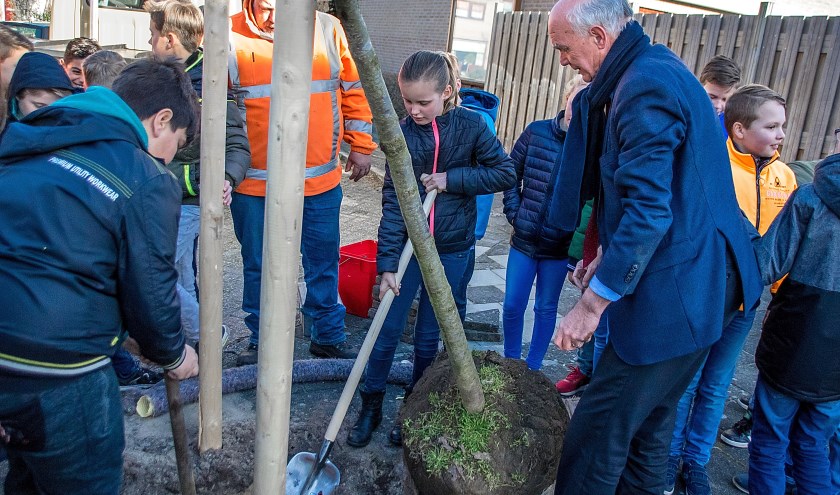 Wethouder Gardeniers helpt de leerlingen van De Schakel een handje met het planten van bomen.